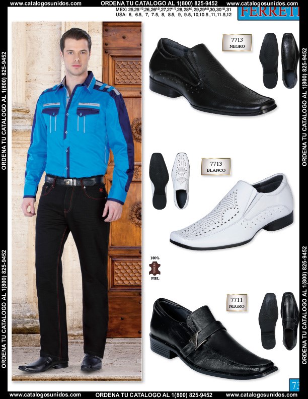 Ferreti2014 (Page 73)
